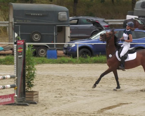 Reitturnier Heiligenwald 2023