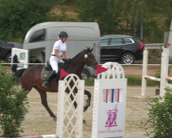 Reitturnier Heiligenwald 2023