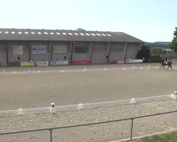 Reitturnier Ehningen 2023