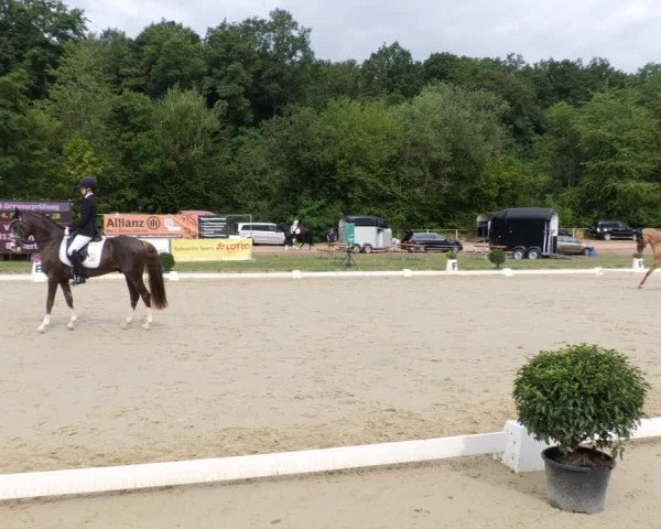 Reitturnier Heiligenwald 2023