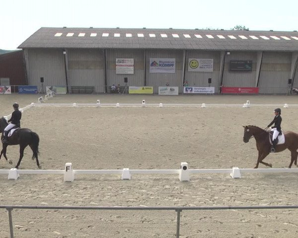 Reitturnier Ehningen 2023
