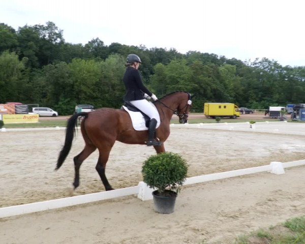Reitturnier Heiligenwald 2023