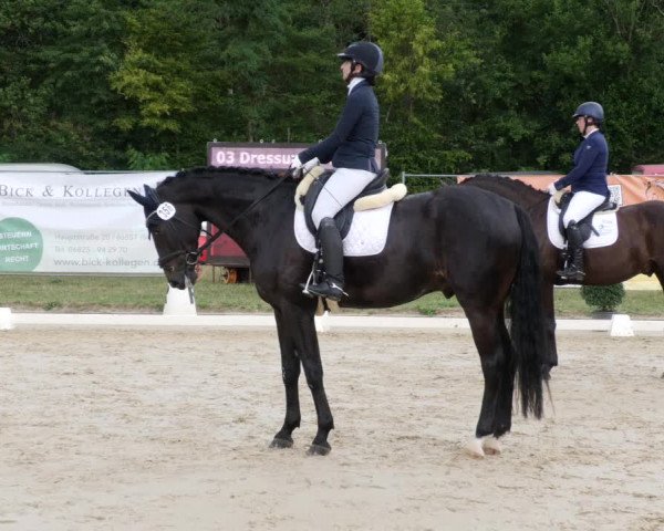 Reitturnier Heiligenwald 2023