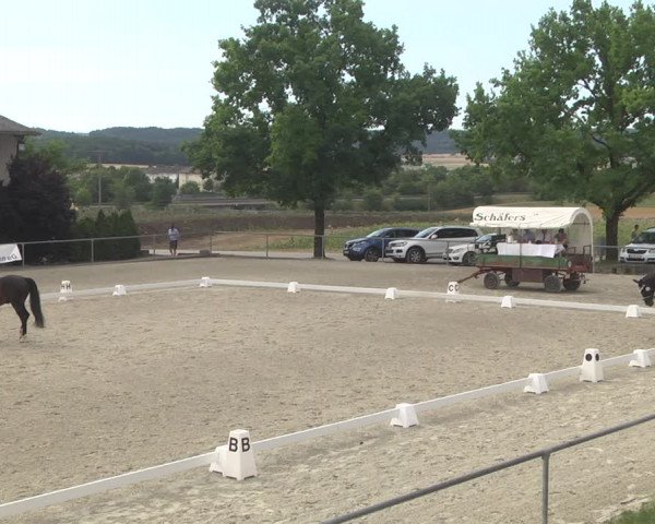 Reitturnier Ehningen 2023