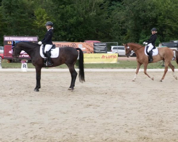 Reitturnier Heiligenwald 2023