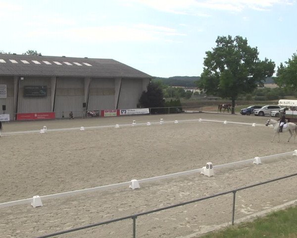 Reitturnier Ehningen 2023