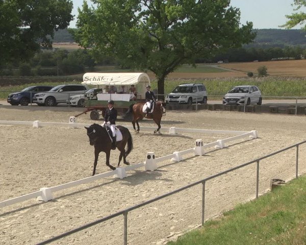 Reitturnier Ehningen 2023