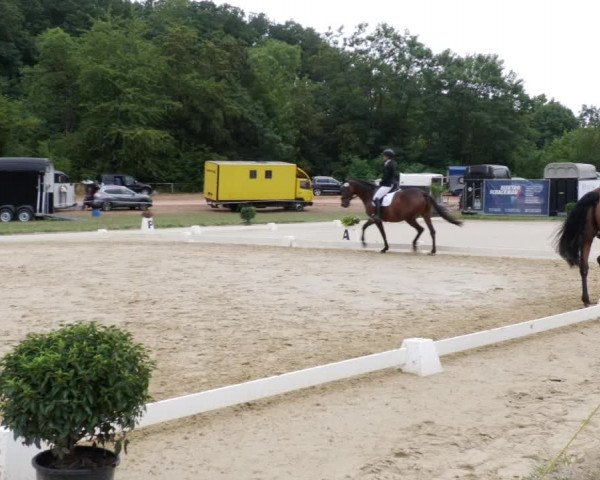 Reitturnier Heiligenwald 2023