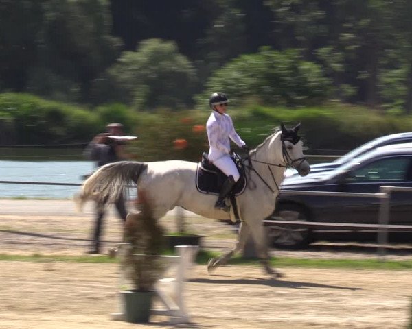 Reitturnier Bad Liebenstein/Sorga 2023