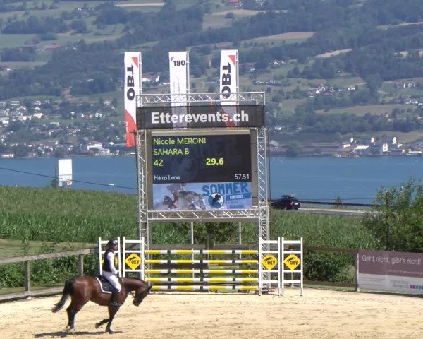 Reitturnier Wädenswil 2023