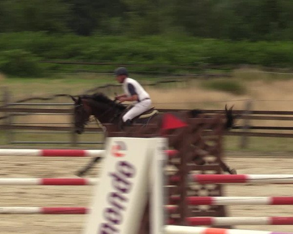 Reitturnier Hemer 2023