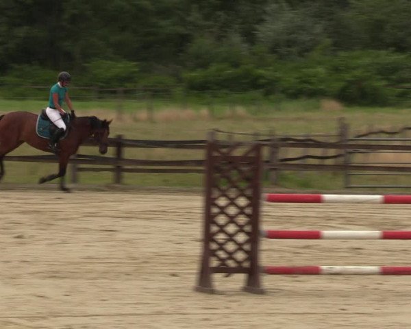 Reitturnier Hemer 2023