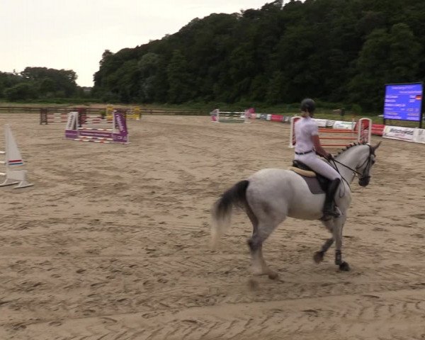 Reitturnier Hemer 2023