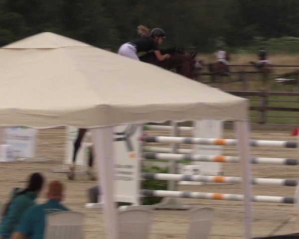 Reitturnier Hemer 2023