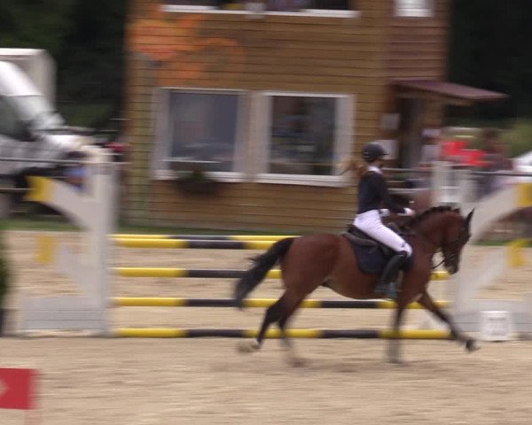 Reitturnier Bad Liebenstein/Sorga 2023