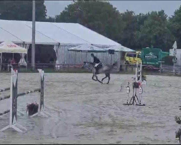 Video of Calinka Hp Z