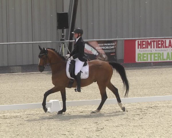 Reitturnier Ehningen 2023