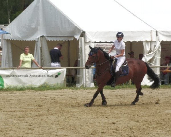 Reitturnier Heiligenwald 2023