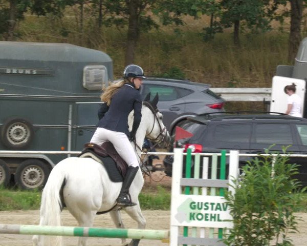 Reitturnier Heiligenwald 2023