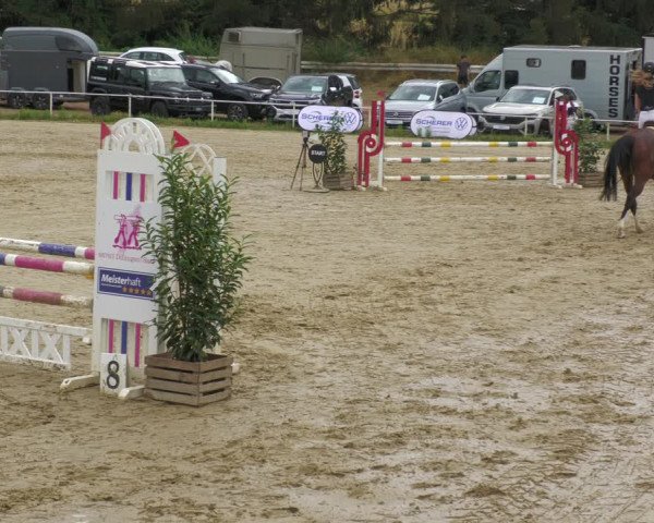 Reitturnier Heiligenwald 2023