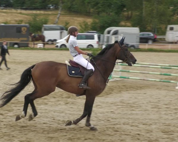Reitturnier Heiligenwald 2023