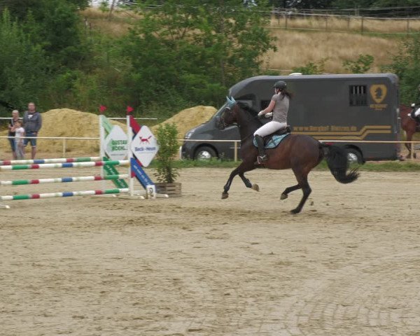 Reitturnier Heiligenwald 2023