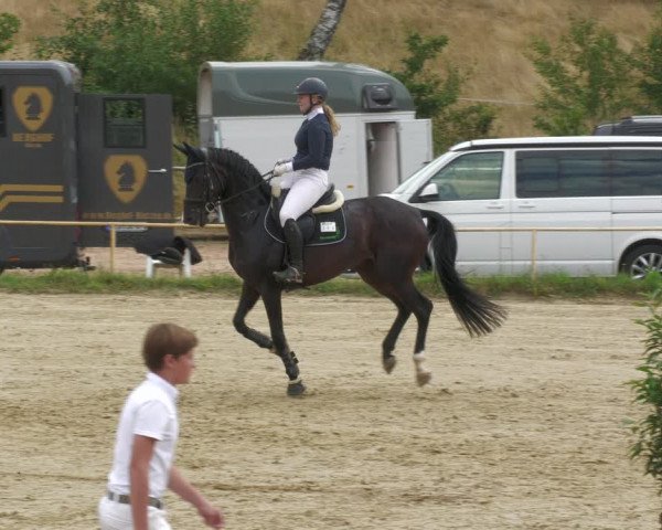 Reitturnier Heiligenwald 2023