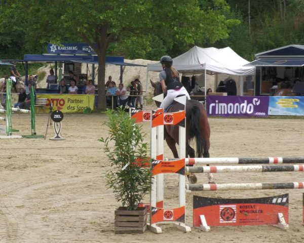 Reitturnier Heiligenwald 2023