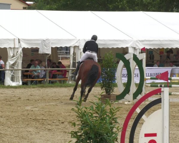 Reitturnier Heiligenwald 2023