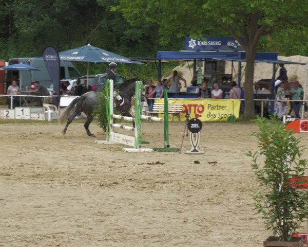 Reitturnier Heiligenwald 2023