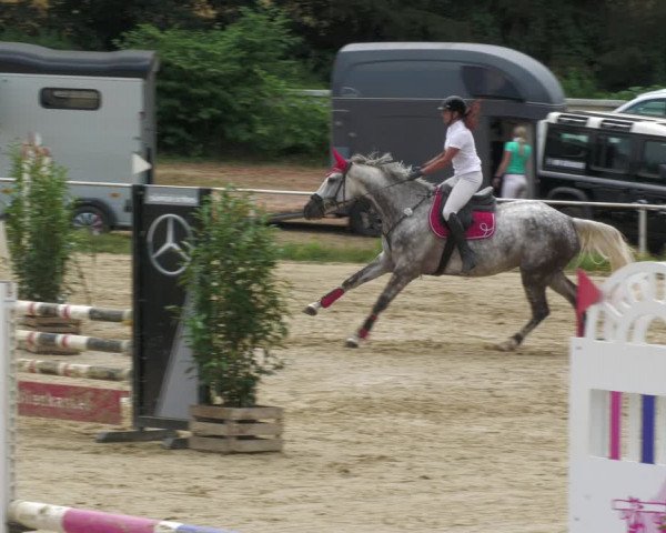 Reitturnier Heiligenwald 2023