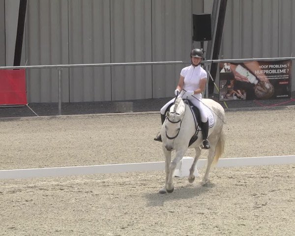 Reitturnier Ehningen 2023