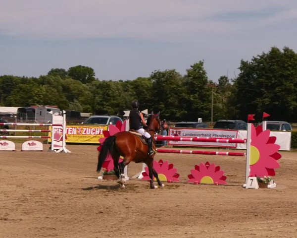 Reitturnier Neustadt/Dosse 2023