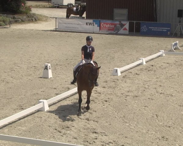 Reitturnier Ehningen 2023
