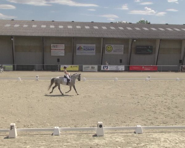 Reitturnier Ehningen 2023