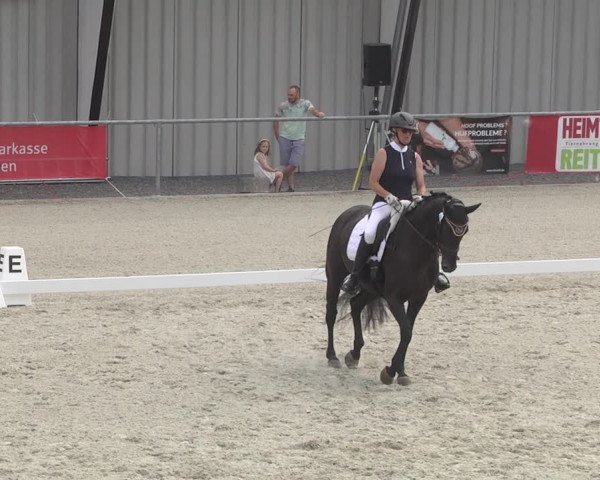 Reitturnier Ehningen 2023