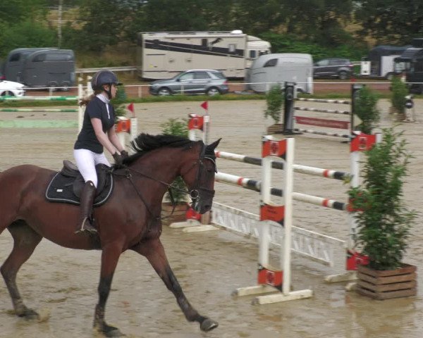 Reitturnier Heiligenwald 2023