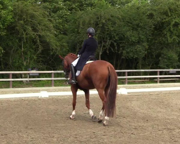 Reitturnier Kleinsolt 2023