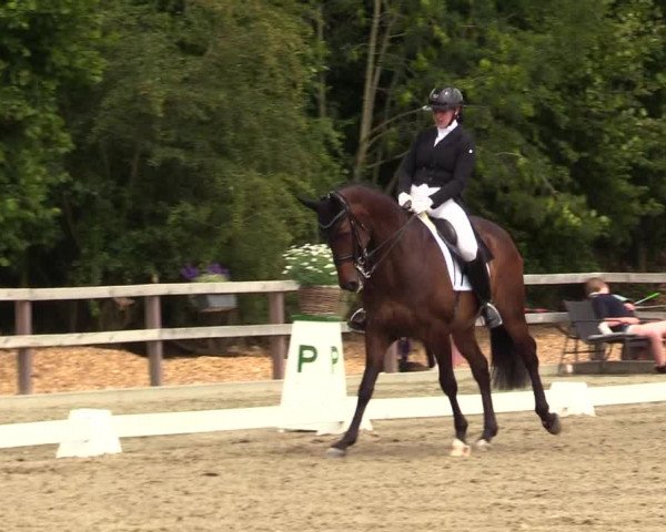Reitturnier Kleinsolt 2023