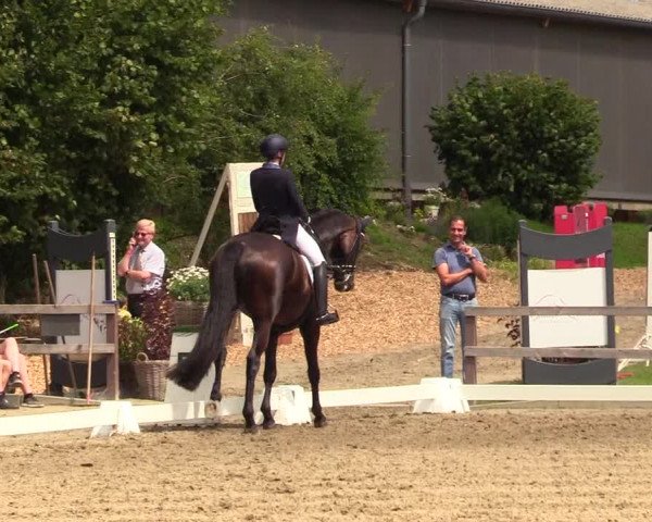 Reitturnier Kleinsolt 2023