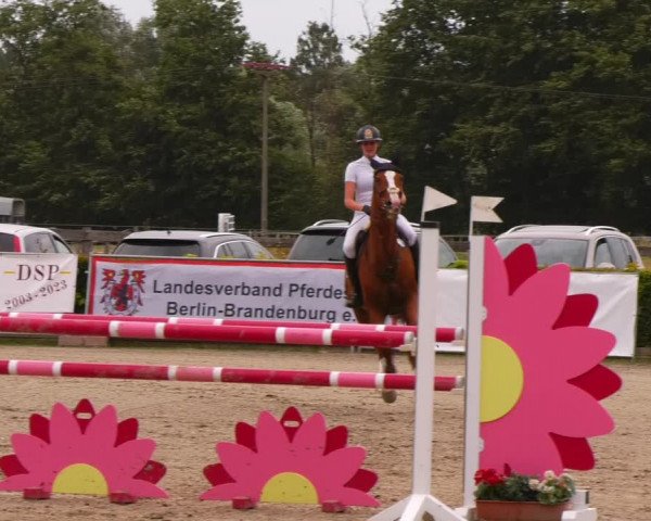 Reitturnier Neustadt/Dosse 2023