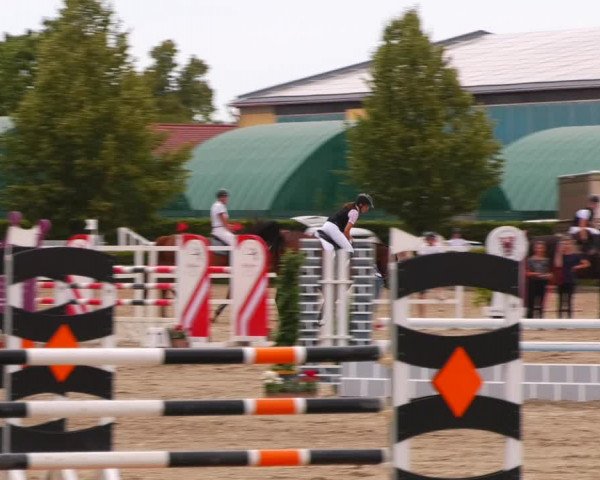 Reitturnier Neustadt/Dosse 2023