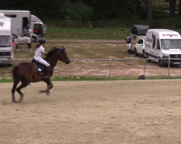 Reitturnier Bad Liebenstein/Sorga 2023