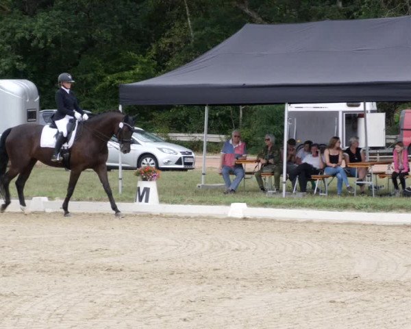 Reitturnier Heiligenwald 2023