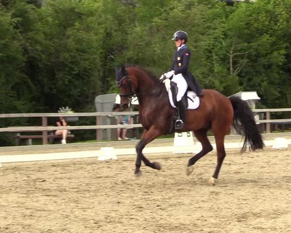 Reitturnier Kleinsolt 2023