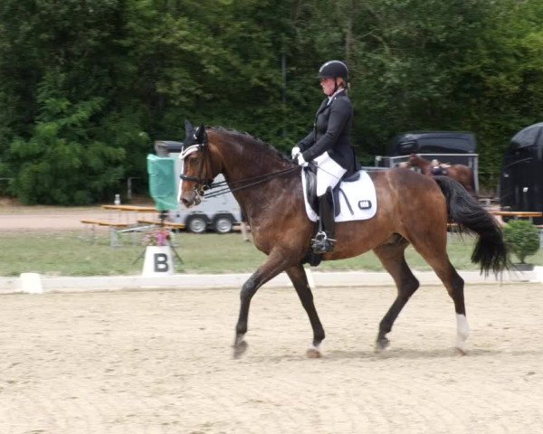 Reitturnier Heiligenwald 2023
