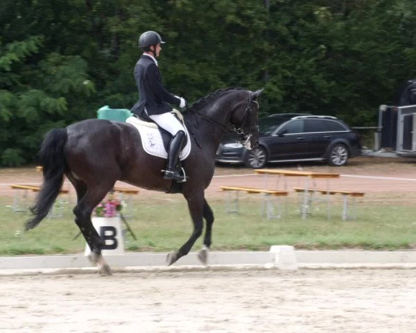 Reitturnier Heiligenwald 2023