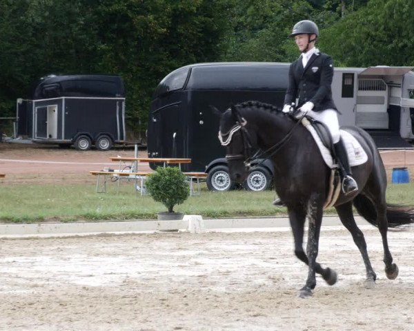 Reitturnier Heiligenwald 2023