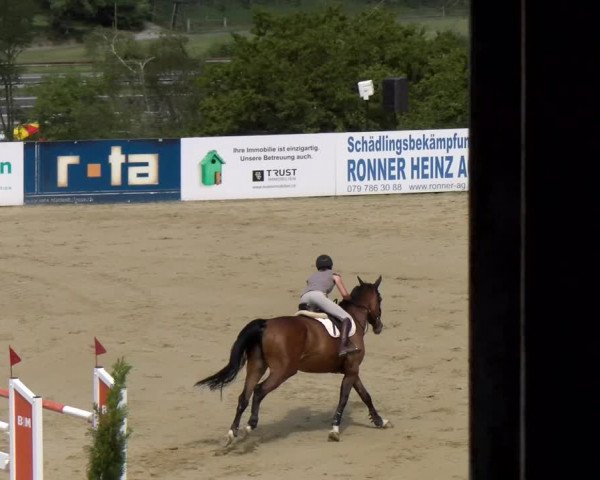 Reitturnier Wädenswil 2023