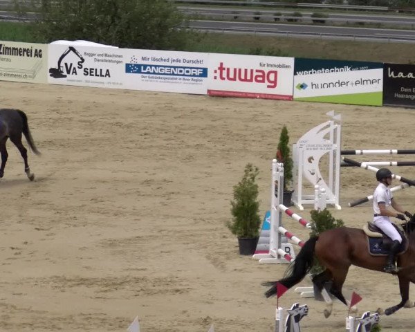 Reitturnier Wädenswil 2023